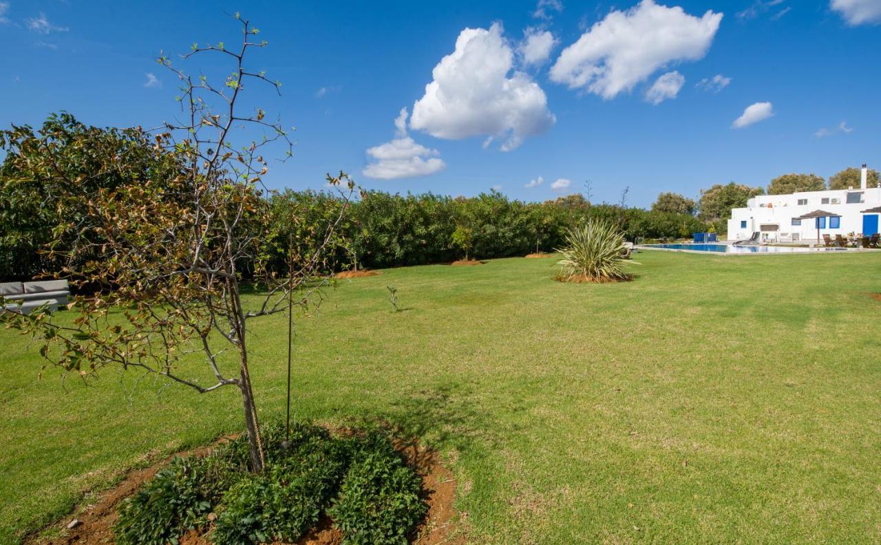 Oasea Villa Tavronitis  Bagian luar foto