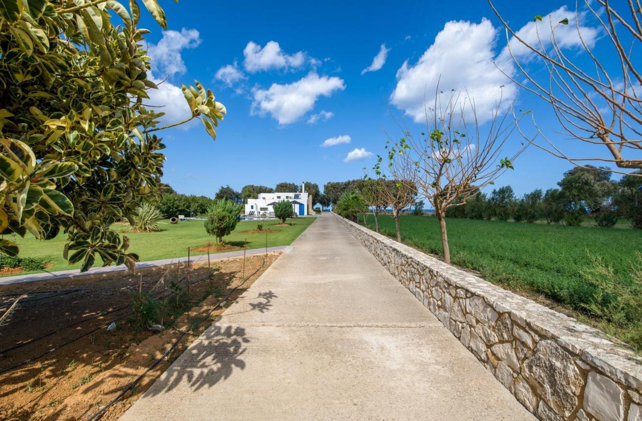 Oasea Villa Tavronitis  Bagian luar foto