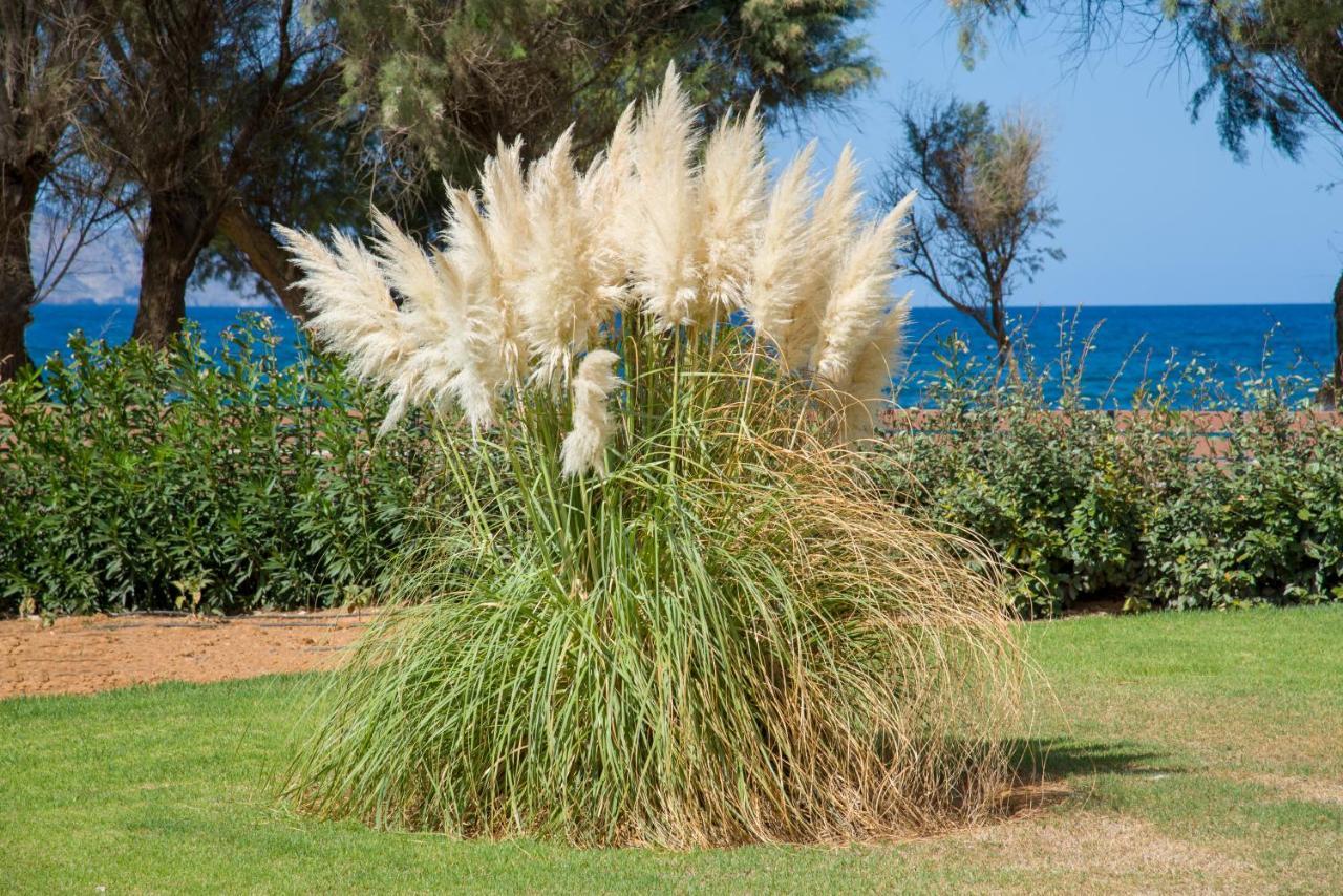 Oasea Villa Tavronitis  Bagian luar foto