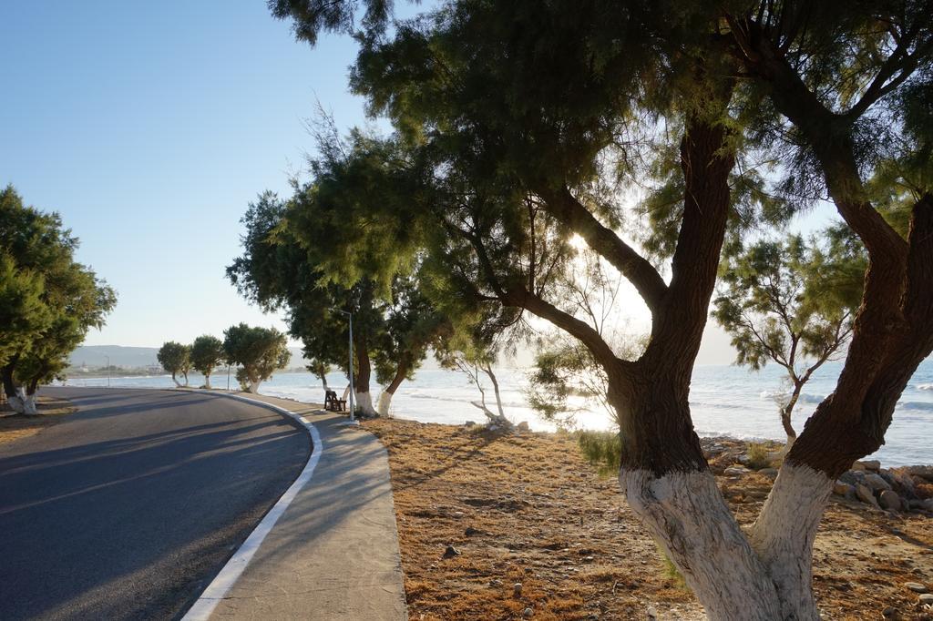 Oasea Villa Tavronitis  Bagian luar foto